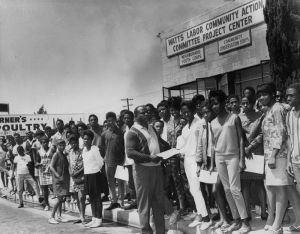 WLCAC summer jobs 1967 Ted W